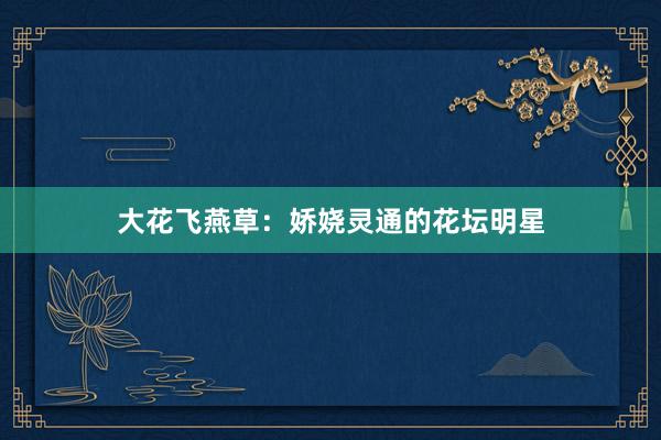 大花飞燕草：娇娆灵通的花坛明星
