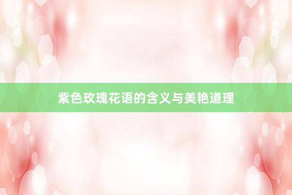 紫色玫瑰花语的含义与美艳道理